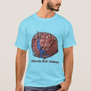 Vintage Abalone-Muschel mit einem Freediving Diver T-Shirt