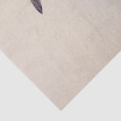 Vintage Abbildung: Dschungelkrähe Seidenpapier (Ausschnitt)