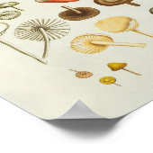 Vintage Abbildung einer Pilzsammlung Poster (Ecke)