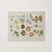 Vintage Abbildung einer Pilzsammlung Puzzle (Horizontal)
