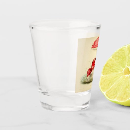 Vintage Abbildung eines Pilzes Schnapsglas (Links)