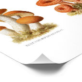 Vintage Abbildung essbare nicht essbare Pilze Poster (Ecke)