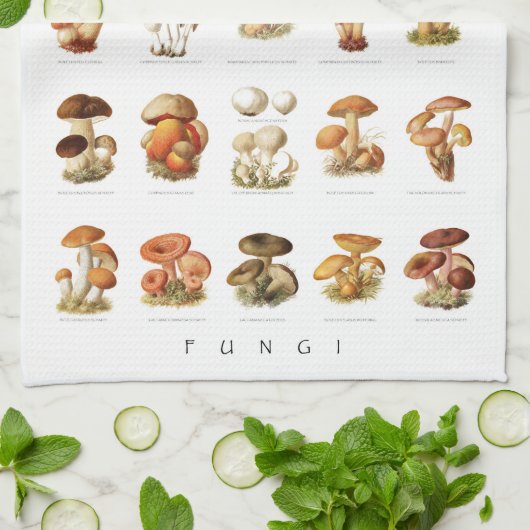 Vintage Abbildung essbare Pilze Geschirrtuch (Gefaltet)