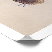 Vintage Abbildung: Fasant Poster (Ecke)