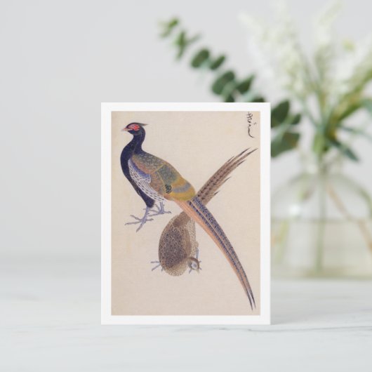 Vintage Abbildung: Fasant Postkarte (Stehend Vorderseite)