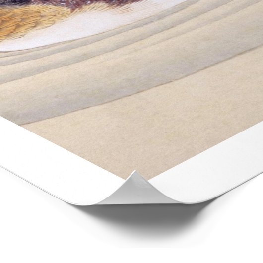 Vintage Abbildung: Hajiro Poster (Ecke)