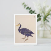 Vintage Abbildung: Kormorant Postkarte (Stehend Vorderseite)