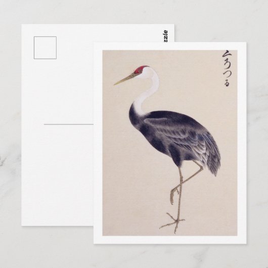 Vintage Abbildung: Kran Postkarte (Vorne/Hinten)