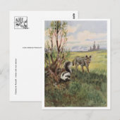 Vintage Abbildung Postcard Postkarte (Vorne/Hinten)