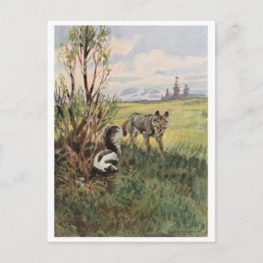 Vintage Abbildung Postcard Postkarte (Vorderseite)