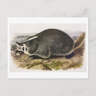 Vintage Abbildung Postcard Postkarte