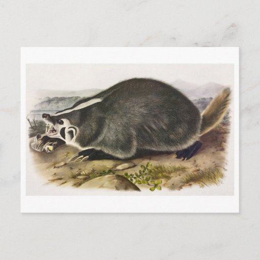 Vintage Abbildung Postcard Postkarte (Vorderseite)