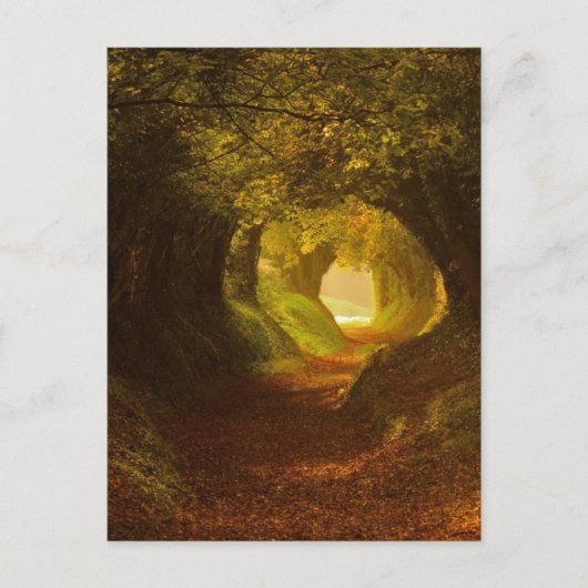 Vintage Abbildung Postcard Postkarte (Vorderseite)