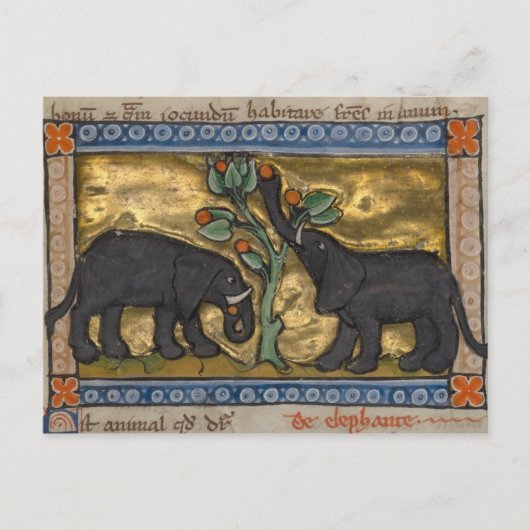 Vintage Abbildung Postcard Postkarte (Vorderseite)