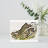 Vintage Abbildung Postcard Postkarte (Stehend Vorderseite)