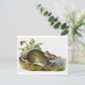 Vintage Abbildung Postcard Postkarte (Stehend Vorderseite)