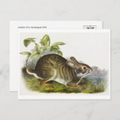 Vintage Abbildung Postcard Postkarte (Vorne/Hinten)