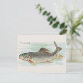 Vintage Abbildung Postkarte (Stehend Vorderseite)