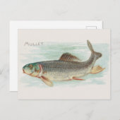 Vintage Abbildung Postkarte (Vorne/Hinten)