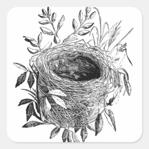 Vintage Abbildung Quadratischer Aufkleber