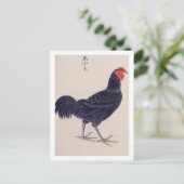 Vintage Abbildung: Shamo-Hühner Postkarte (Stehend Vorderseite)