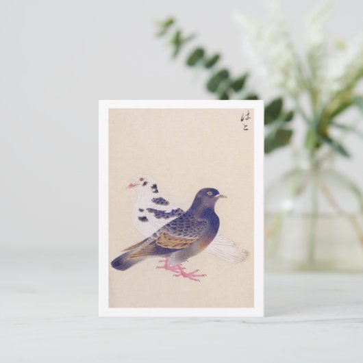 Vintage Abbildung: Taube Postkarte (Stehend Vorderseite)