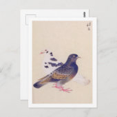 Vintage Abbildung: Taube Postkarte (Vorne/Hinten)