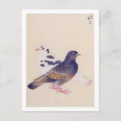 Vintage Abbildung: Taube Postkarte (Vorderseite)