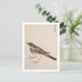 Vintage Abbildung: Thrush Postkarte (Stehend Vorderseite)