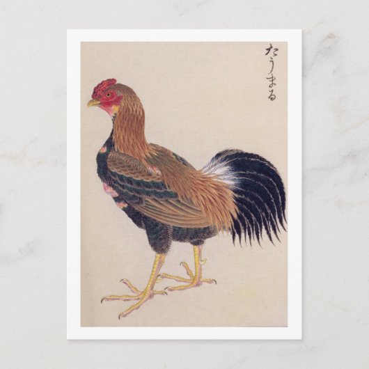 Vintage Abbildung: Tomaru Postkarte (Vorderseite)