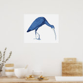 Vintage Abbildung von Blue Ibis Poster (Küche)