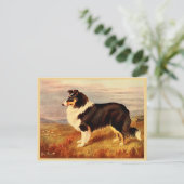 Vintage Abbildung von Collie dog Postkarte (Stehend Vorderseite)
