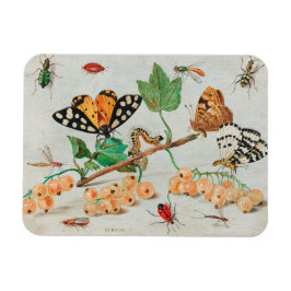 Vintage Abbildung von Schmetterlingen auf Beeren Magnet