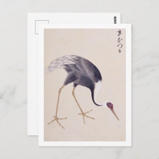 Vintage Abbildung: weißer Kran Postkarte (Vorne/Hinten)