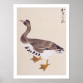 Vintage Abbildung: Wilde Gans Poster (Vorne)