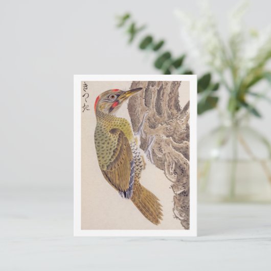 Vintage Abbildung: Woodpecker Postkarte (Stehend Vorderseite)