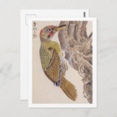 Vintage Abbildung: Woodpecker Postkarte (Vorne/Hinten)