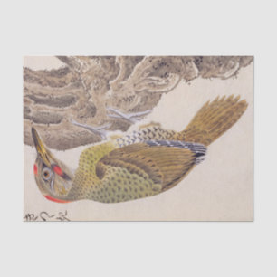 Vintage Abbildung: Woodpecker Seidenpapier
