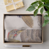 Vintage Abbildung: Woodpecker Seidenpapier (Geschenk)