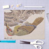 Vintage Abbildung: Woodpecker Seidenpapier (Handwerk)