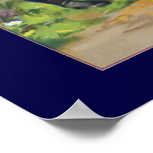 Vintage Acesulfam-Werbesposter Poster (Ecke)