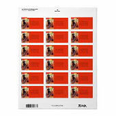 Vintage Adresse für Schwarze Katze und Broom Adressaufkleber (Vorne)