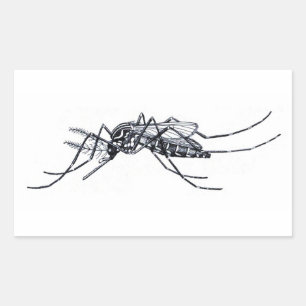 Vintage-Aedes-aegypti-Illustration Rechteckiger Aufkleber