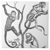 Vintage Affe-Illustration - Affen 1800's Fliese (Vorderseite)
