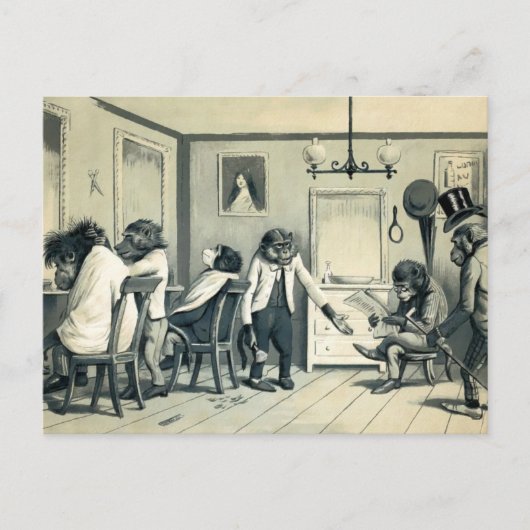 Vintage-Affenaffen-Friseursalon-Postkarte Postkarte (Vorderseite)