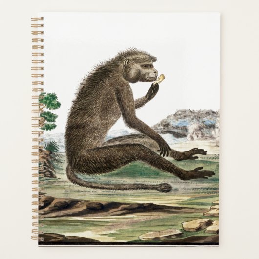 Vintage Affendarstellung | Zoo Animal Ape Jigsa Planer (Vorderseite)