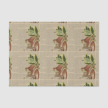 Vintage Affenkollektion