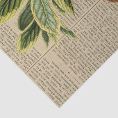 Vintage Affenkollektion Seidenpapier (Ausschnitt)