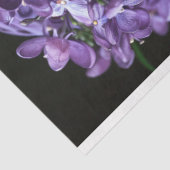 Vintage afrikanische Amerikanerin Dekoupage Seidenpapier (Ausschnitt)