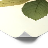 Vintage agrarrote und weiße Pilze, floral Poster (Ecke)